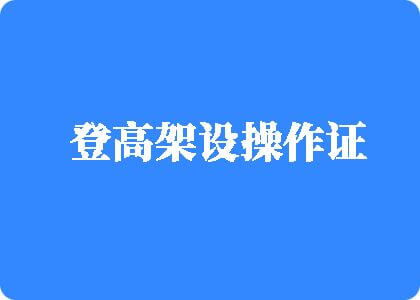 好入屌视频登高架设操作证