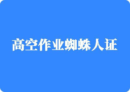 老女人的骚逼视电影高空作业蜘蛛人证